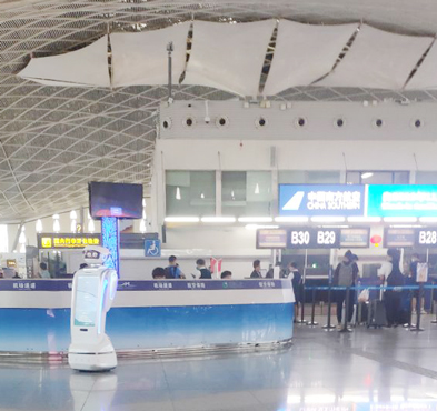 BETVLCTOR伟德在线登录平台 机场机器人